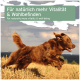 Ein brauner Hund, der fröhlich durch ein Feld läuft, mit Textüberlagerung in Deutsch und Englisch, der natürliche Vitalität und Wohlbefinden fördert.