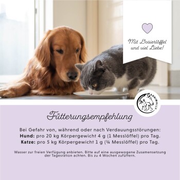 Ein Golden Retriever und eine graue Katze fressen aus einer Schüssel auf dem Boden, mit deutschen Fütterungsempfehlungen für Haustiere basierend auf dem Gewicht.