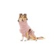 Ein Collie-Hund, der ein weiches, handtuchähnliches rosa Wickel trägt, sitzt anmutig vor einem weißen Hintergrund.