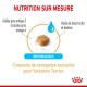 Croquette de conception exclusive pour Yorkshire Terrier, réhydratable, avec acides gras oméga-3, oméga-6, huile de bourrache et biotine.