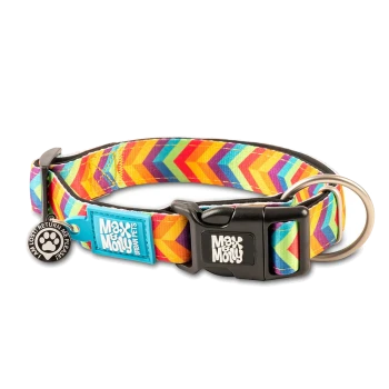 Buntes Hundehalsband mit Chevron-Muster, schwarzer Schnalle, Metallring und Anhängern mit der Aufschrift „Max & Molly“ und „Ich bin verloren! Bitte zurückbringen!“