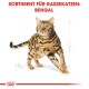 Illustration einer Bengal-Katze mit geflecktem Fell, mit der Aufschrift "SORTIMENT FÜR RASSEKATZEN: BENGAL" oben.