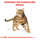 Illustration einer Bengal-Katze mit geflecktem Fell, mit der Aufschrift "SORTIMENT FÜR RASSEKATZEN: BENGAL" oben.