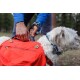 Eine Person in einer blauen Jacke befestigt eine Leine an einem kleinen weißen Hund, der ein buntes Geschirr und einen leuchtend roten Rucksack in einer Waldumgebung trägt.