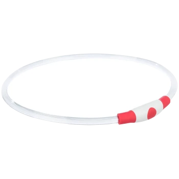 Un collier pour animaux transparent avec un bouton rouge et blanc, conçu pour la visibilité et la sécurité lors des promenades nocturnes.