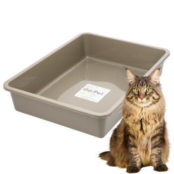 Beige rechteckige Katzentoilette mit Garpet-Aufkleber und einer langhaarigen, braun-getigerten Katze, die daneben sitzt