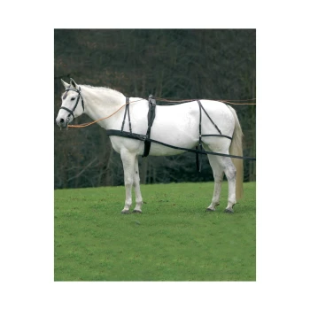 Ein weißes Pferd mit Geschirr steht auf grünem Gras, mit einem verschwommenen Wald im Hintergrund.