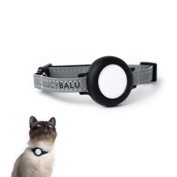 Ein graues Katzenhalsband mit einem schwarzen runden Anhänger, auf dem der Markenname "LUCYBALU" steht, neben einer Siamkatze, die nach oben schaut.