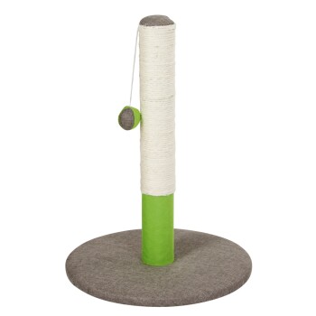 Katzenkratzbaum mit beigem Sisalseil, grünem Stoffboden und hängendem Spielball auf weißem Hintergrund.