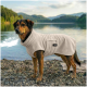 Ein brauner Hund, der einen beigen, gemütlichen Haustier-Hoodie trägt, steht an einem sandigen Strand, umgeben von hohem Gras und einem Holzzaun im Hintergrund.