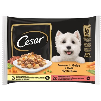 Emballage de nourriture pour chiens Cesar présentant une sélection en gelée, avec des ingrédients visibles comme du poulet et des carottes, et des affirmations de nutrition 100% complète.