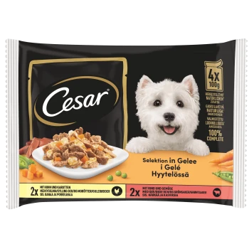 Cesar Hundefutterverpackung mit einer Auswahl in Gelee, sichtbaren Zutaten wie Huhn und Karotten und dem Anspruch auf 100% vollständige Ernährung.