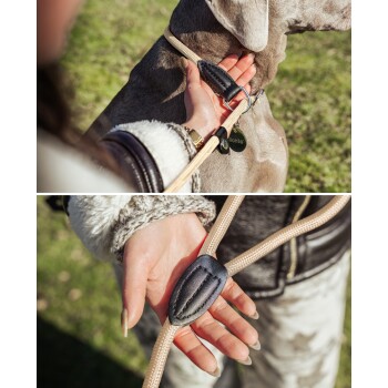Nahaufnahme eines Deutschen Schäferhund-Mischlings mit einem schwarzen Halsband mit einer silbernen Glocke und einer beigen Leine, vor einem verschwommenen natürlichen Hintergrund.