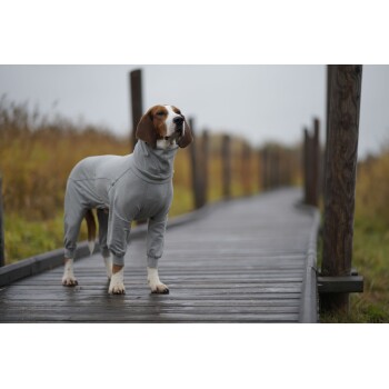 Ein Beagle, der einen grauen Hundeeinteiler trägt, steht selbstbewusst auf einem Holzsteg, umgeben von hohem Gras unter einem bewölkten Himmel.