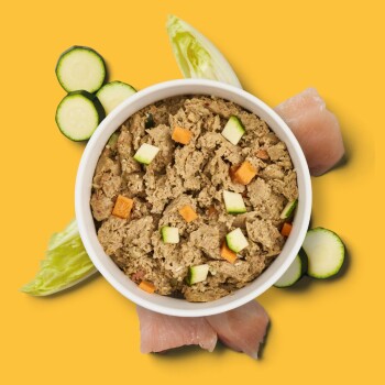 Schüssel mit Haustierfutter mit gehacktem Fleisch, gewürfeltem Kürbis, Brokkoli und gelber Paprika, auf einem grünen Hintergrund mit rohen Fleischstücken.