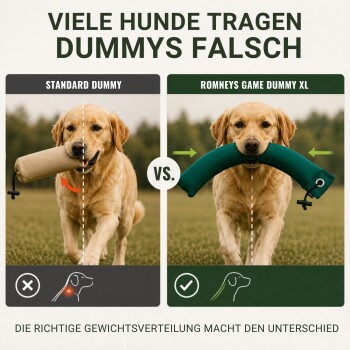 Golden Retriever liegt auf Gras und hält im Freien ein grünes Hundespielzeug im Maul.