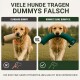 Golden Retriever liegt auf Gras und hält im Freien ein grünes Hundespielzeug im Maul.