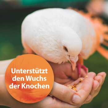 Eine Person hält einen weißen Vogel, mit einem orangefarbenen Kreisüberlagerung, der sagt "Unterstützt das Knochenwachstum."