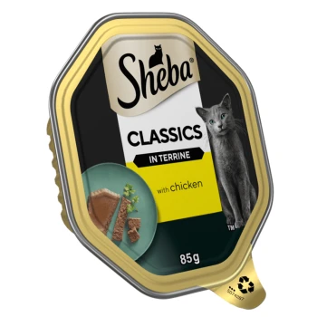 Classics Adult Cat Food with Chicken in Terrine 22 x 85 g