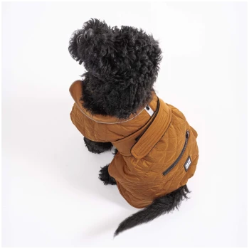 Ein schwarzer Hund trägt eine braune gesteppte Jacke mit Kapuze, sitzt vor einem weißen Hintergrund und schaut nach oben.