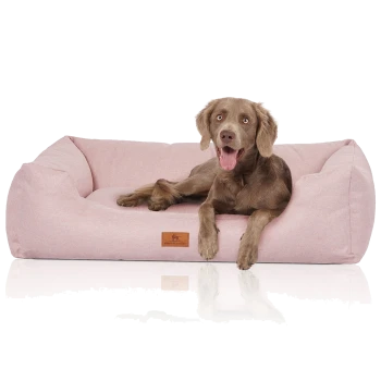 Ein glücklicher brauner Hund, der auf einem weichen rosa Haustierbett mit einem Lederetikett sitzt, auf dem "KNUFFELWUFF" steht.