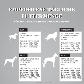 Infografik, die tägliche Futterempfehlungen für aktive erwachsene und junge Hunde nach Größe zeigt: kleine, mittlere, große und riesige Rassen.
