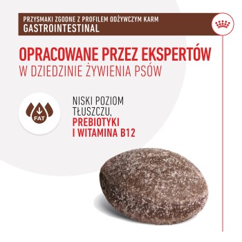 Przysmaki dla psów zaprojektowane dla zdrowia układu pokarmowego, z niską zawartością tłuszczu, prebiotykami i witaminą B12, z tekstem o profesjonalnej formule.