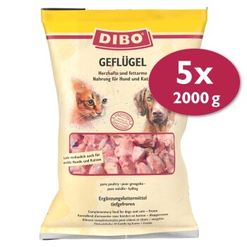 Frostfutter Geflügel 5x2 kg