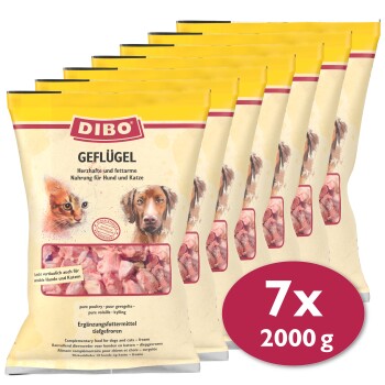 Sieben Beutel DIBO Geflügel, ein geflügelbasiertes Futter für Hunde und Katzen, jeder mit 2000g. Mit Bildern von einer Katze und einem Hund.
