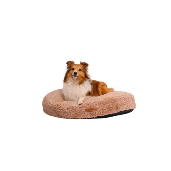 Coco Teddy M