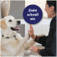 Lächelnder Golden Retriever gibt einer Person drinnen ein High-Five; blauer Kreis mit dem Text 'Zieht schnell ein'.