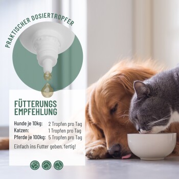 Ein Golden Retriever und eine graue Katze ruhen sich neben einer Futterschüssel aus, mit einer Pipette und Fütterungsempfehlungen für Hunde, Katzen und Pferde.
