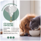Ein Golden Retriever und eine graue Katze ruhen sich neben einer Futterschüssel aus, mit einer Pipette und Fütterungsempfehlungen für Hunde, Katzen und Pferde.