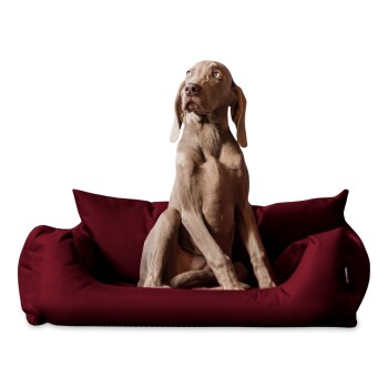 NEMO Hundebett Hundesofa S M L Hundekorb Katzenbett 65 80 100cm bordeaux 1 m, 25 cm, 80 cm