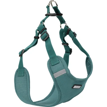 Teal Haustiergeschirr mit verstellbaren Riemen und Metallclips, ausgestattet mit einem atmungsaktiven Mesh-Design und einem reflektierenden Streifen für Sichtbarkeit.