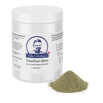 Dr. Hölter DiarDoc Akut Pulver 125 g