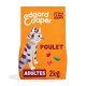 Croquettes Chat Adulte Poulet 2 kg