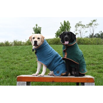 Zwei Hunde sitzen auf einer Holzbank in einem grasbewachsenen Bereich, tragen gemütliche blaue und grüne Haustiermäntel mit braunen Akzenten.