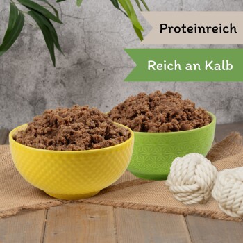Zwei Schalen mit Haustierfutter, eine gelbe und eine grüne, gefüllt mit einer stückigen Fleischmischung, mit Textetiketten "Proteinreich" und "Reich an Kalb."