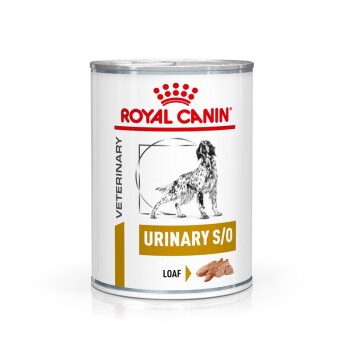 ROYAL CANIN ® Veterinary URINARY S/O Mousse Nassfutter für Hunde 12x410g
