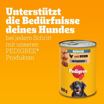 Pedigree Nassfutter Hund Senior, Huhn, in Pastete 12x800 g