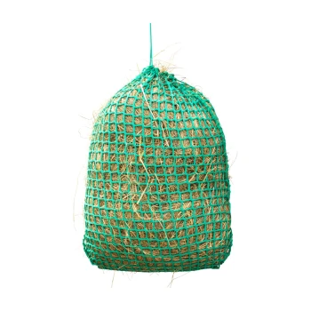 Grüne Netzbeutel gefüllt mit Heu, hängt vor einem weißen Hintergrund.