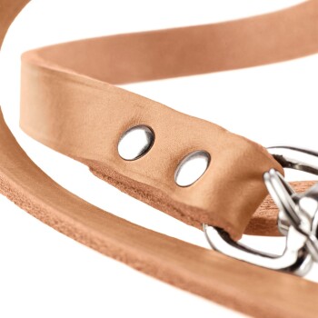 Nahaufnahme einer hellbraunen Lederhundeleine mit silbernen Metallknöpfen und Nieten, die ihr haltbares Design zeigt.