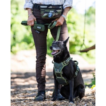 Eine Person in einem karierten Hemd und braunen Hosen steht in einem Waldgebiet und hält eine grüne Hundeleine, die an einem schwarzen Hund mit einem grünen Geschirr befestigt ist.