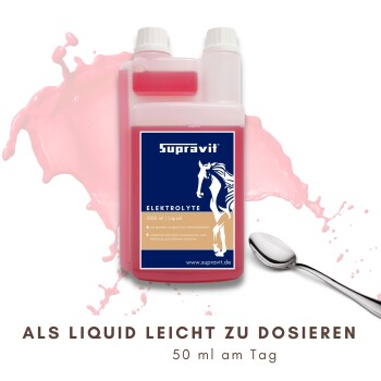 Nahaufnahme eines Pferdes, das aus einem Eimer trinkt, daneben eine Flasche Supravit Elektrolyte und deutscher Text.