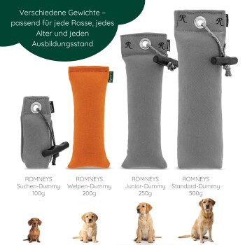 Schwarz-weißer Border-Collie-Welpe läuft auf Gras mit einem orangefarbenen Spielzeug im Maul.