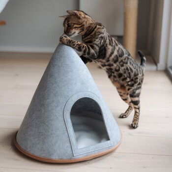 Katzenzelt Cone