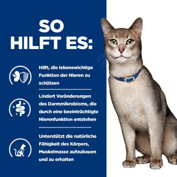Katze mit blauem Halsband neben einem blauen Feld mit der Aufschrift 'SO HILFT ES:' und der Aufzählung der Vorteile für Nieren, Darmmikrobiom und Muskelmasse.