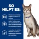 Katze mit blauem Halsband neben einem blauen Feld mit der Aufschrift 'SO HILFT ES:' und der Aufzählung der Vorteile für Nieren, Darmmikrobiom und Muskelmasse.