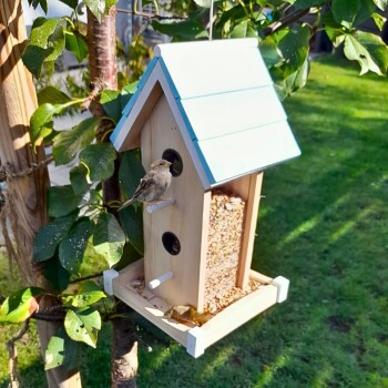 Ein hölzerner Vogelhaus mit einem blauen Dach, gefüllt mit Samen, und einem kleinen Vogel, der auf der Seite sitzt, umgeben von grünen Blättern.